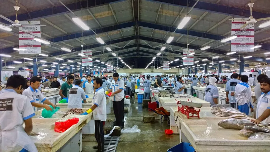 Fresh fish on the counters of a Dubai fish market