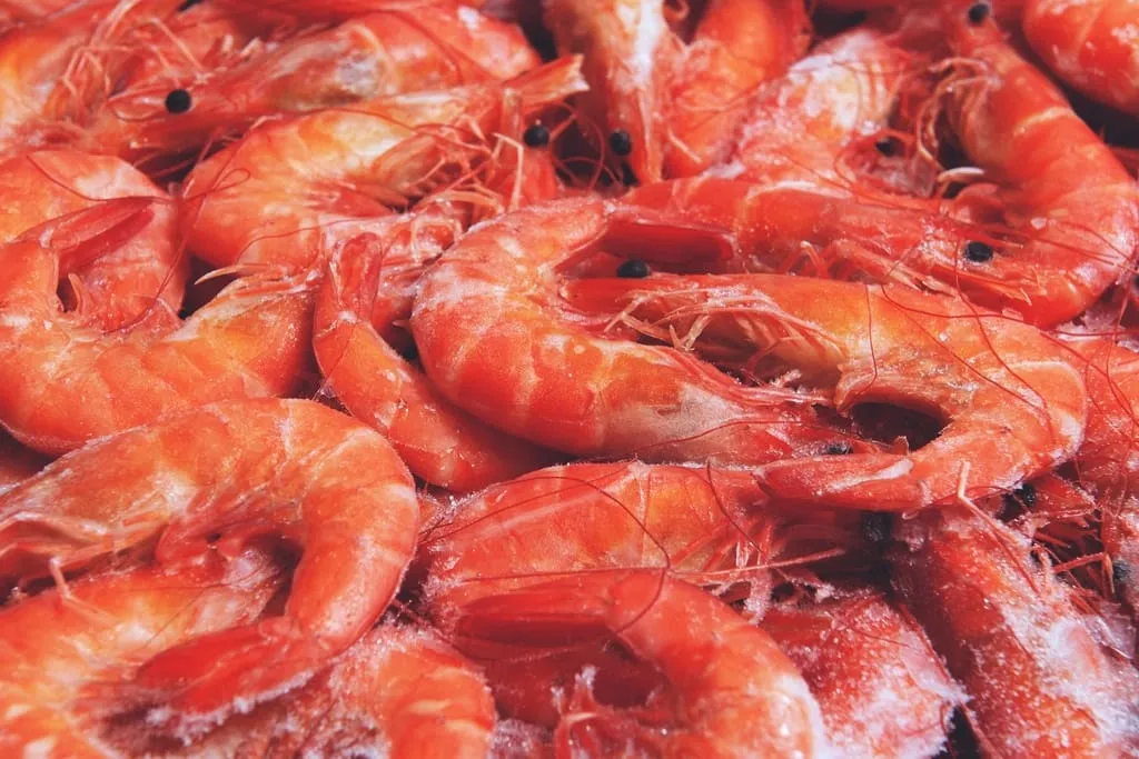 Fresh raw prawns